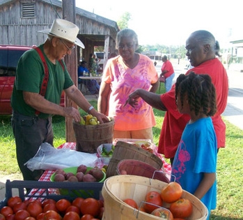 Find Local Food